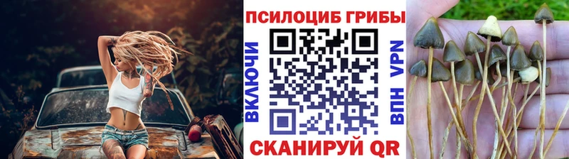 Галлюциногенные грибы Magic Shrooms  Петрозаводск 