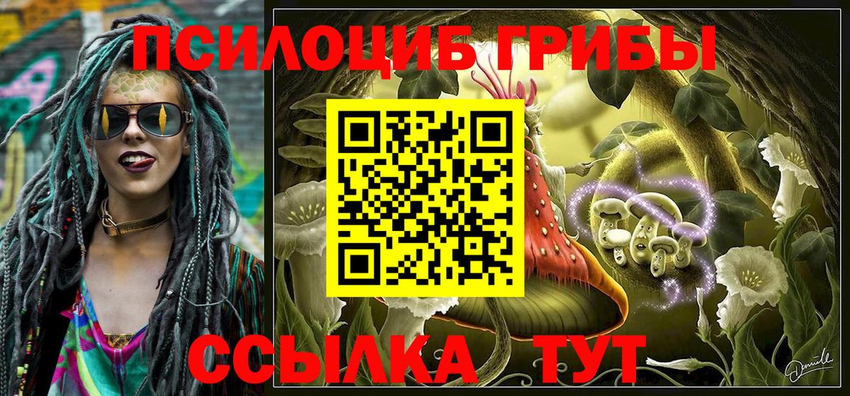 закладка  Галлюциногенные грибы прущие грибы  Вход с VPN  Петрозаводск  Галлюциногенные грибы мицелий 