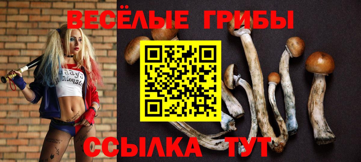 Галлюциногенные грибы Psilocybe Петрозаводск